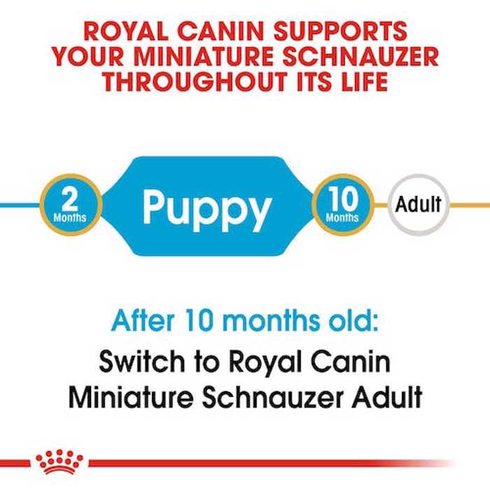 ROYAL CANIN SCHNAUZER JUNIOR 1.5K XIRA TROFI SKuLOu